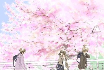 日本jjzz文化介绍